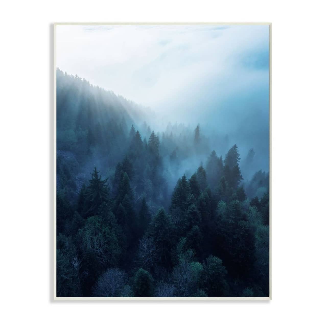 Stupell Industries Daylight over Pine Forest Mountain with Fog Wall Art